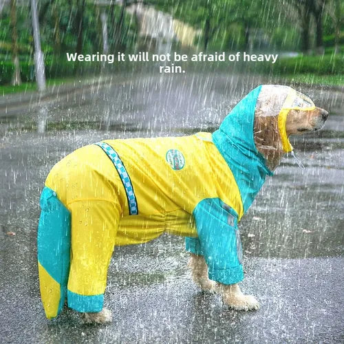 Dog Rainy season coat