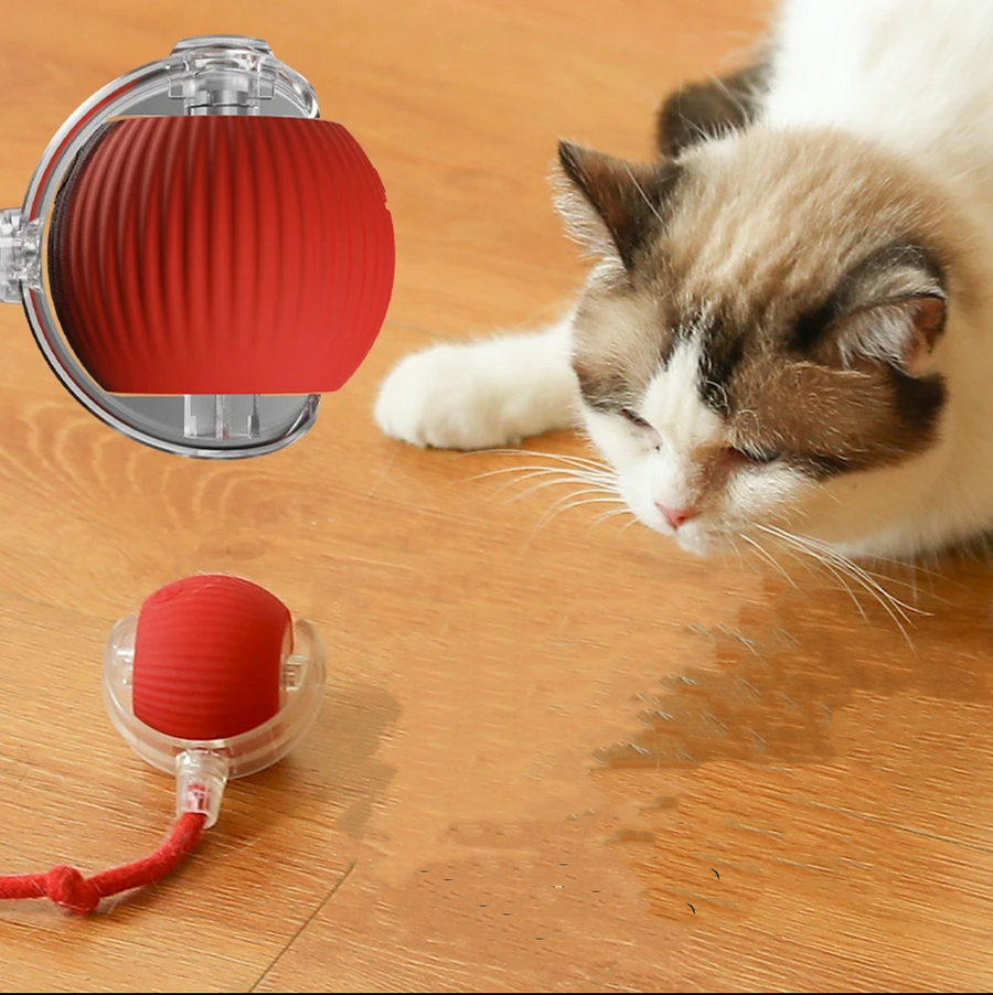 Smart Rotating ball
