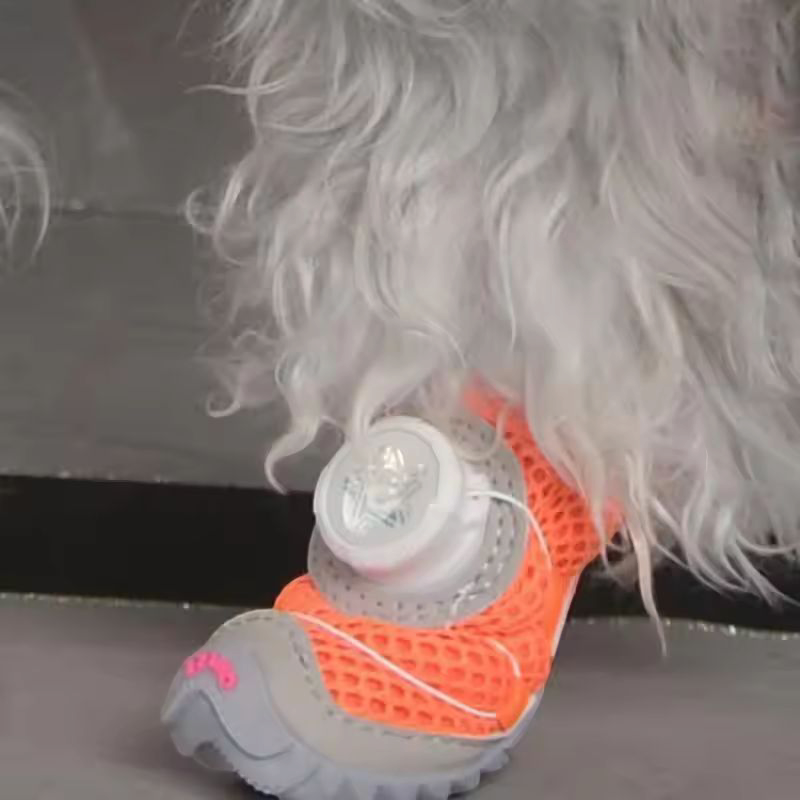 Dog shoes (2 pairs)