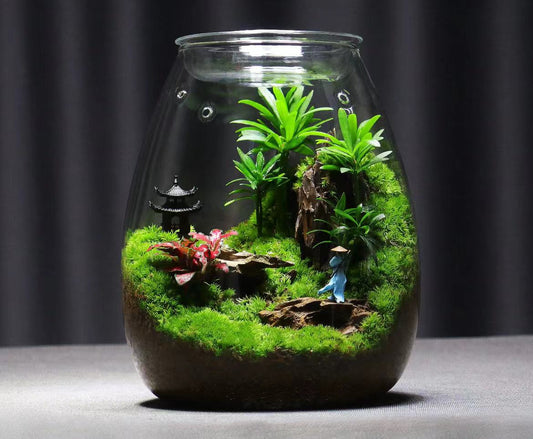 【Top-grade moss】New Style Desktop Moss Landscape