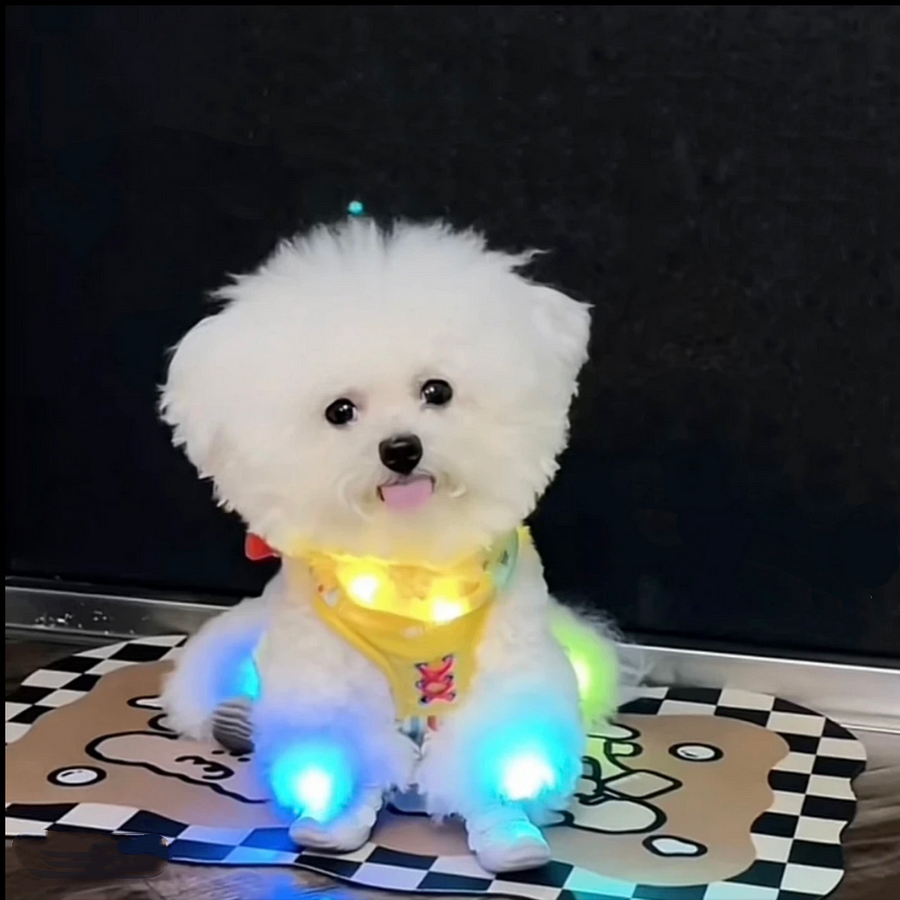 10 pcs LED light for dog shoes