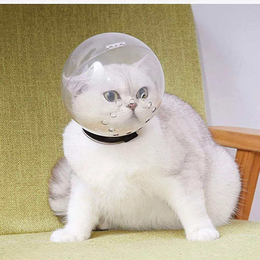 Cat Head protective cover