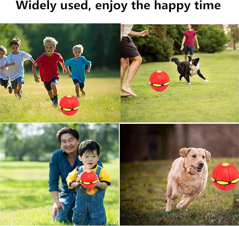 Flying Magic ball For dogs