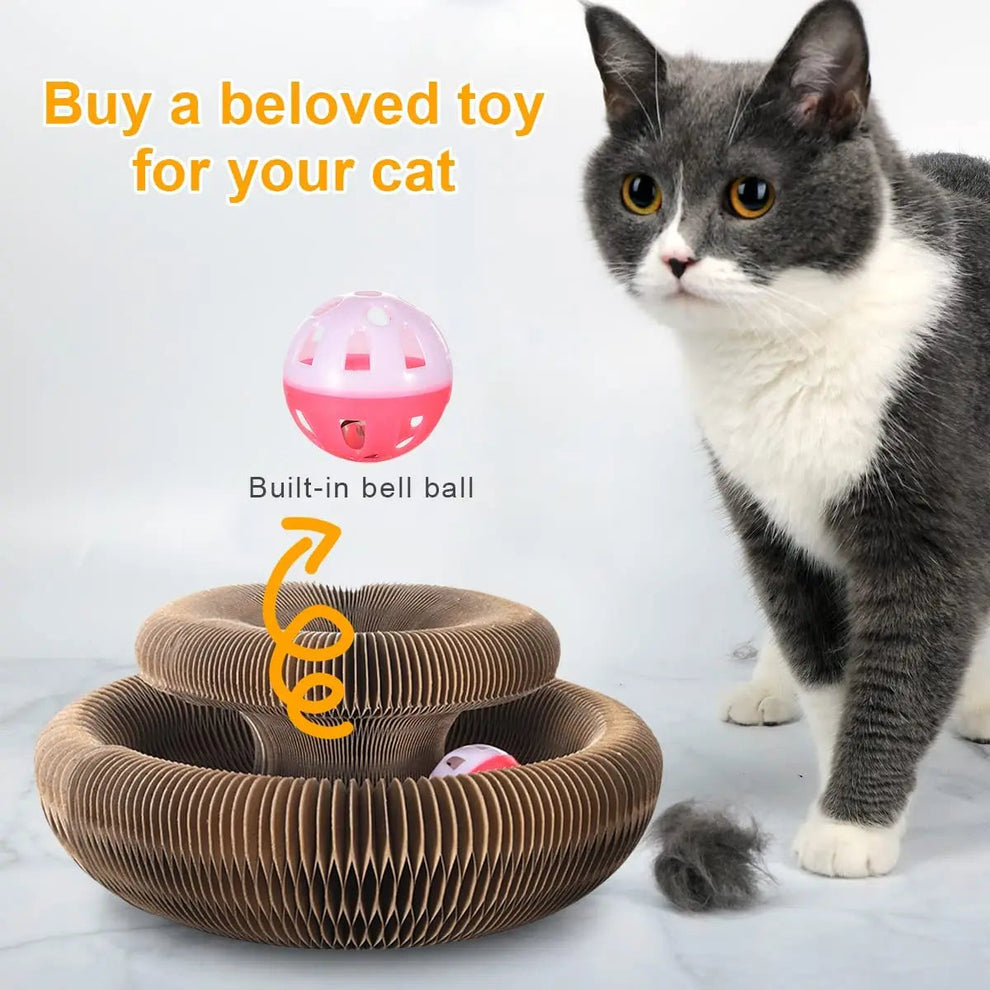 Magic Ball Toy