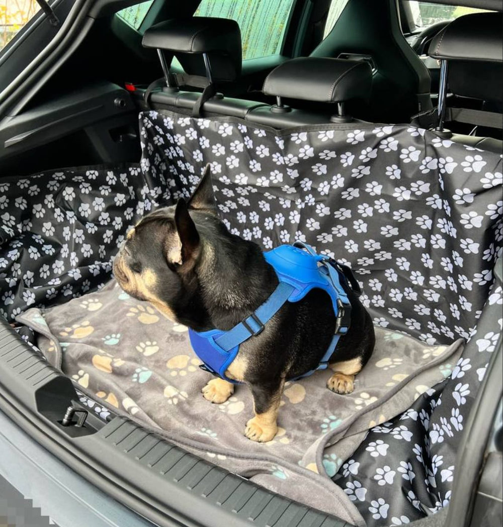 New dog harness