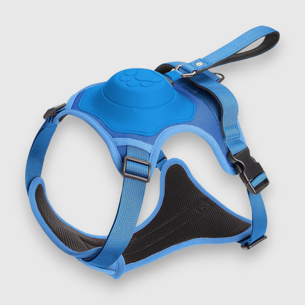 New dog harness
