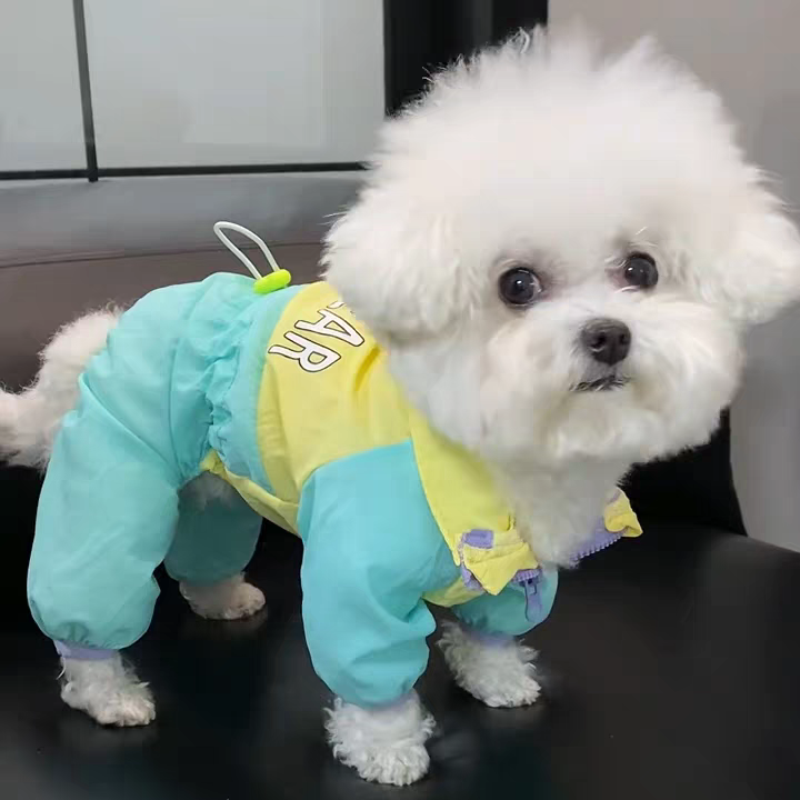 Dog summer clothes