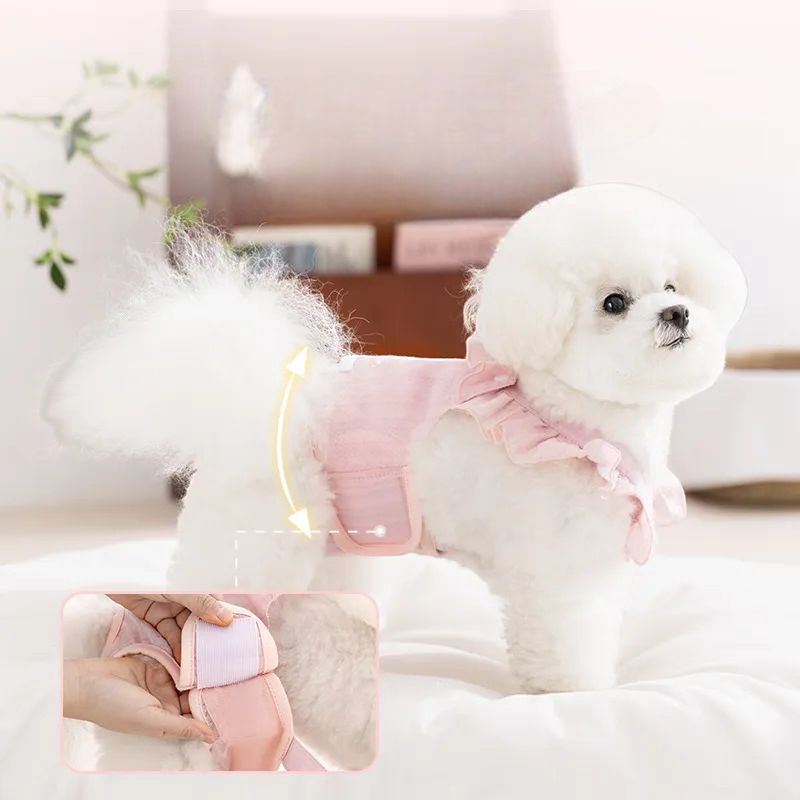 Dog physiological pants + Pads
