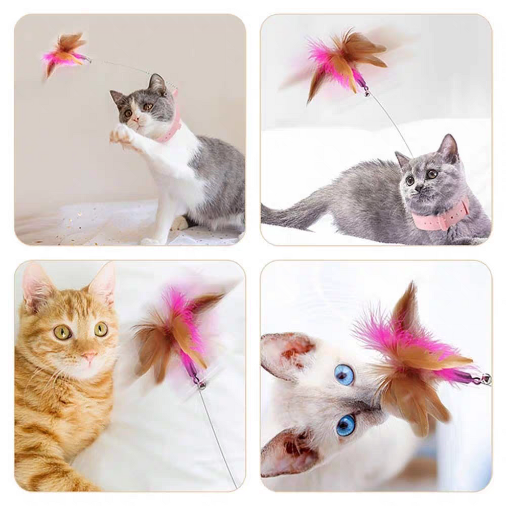 Cat toys feather collar self healing 🤯