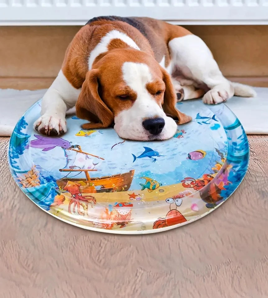 Cat dog water play mat