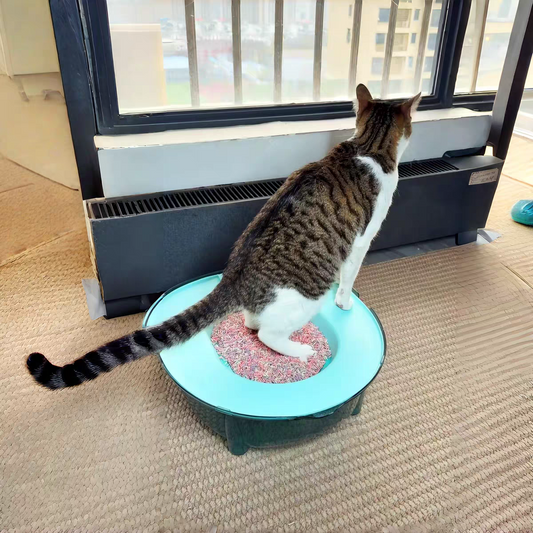 Cat toilet trainer litter box