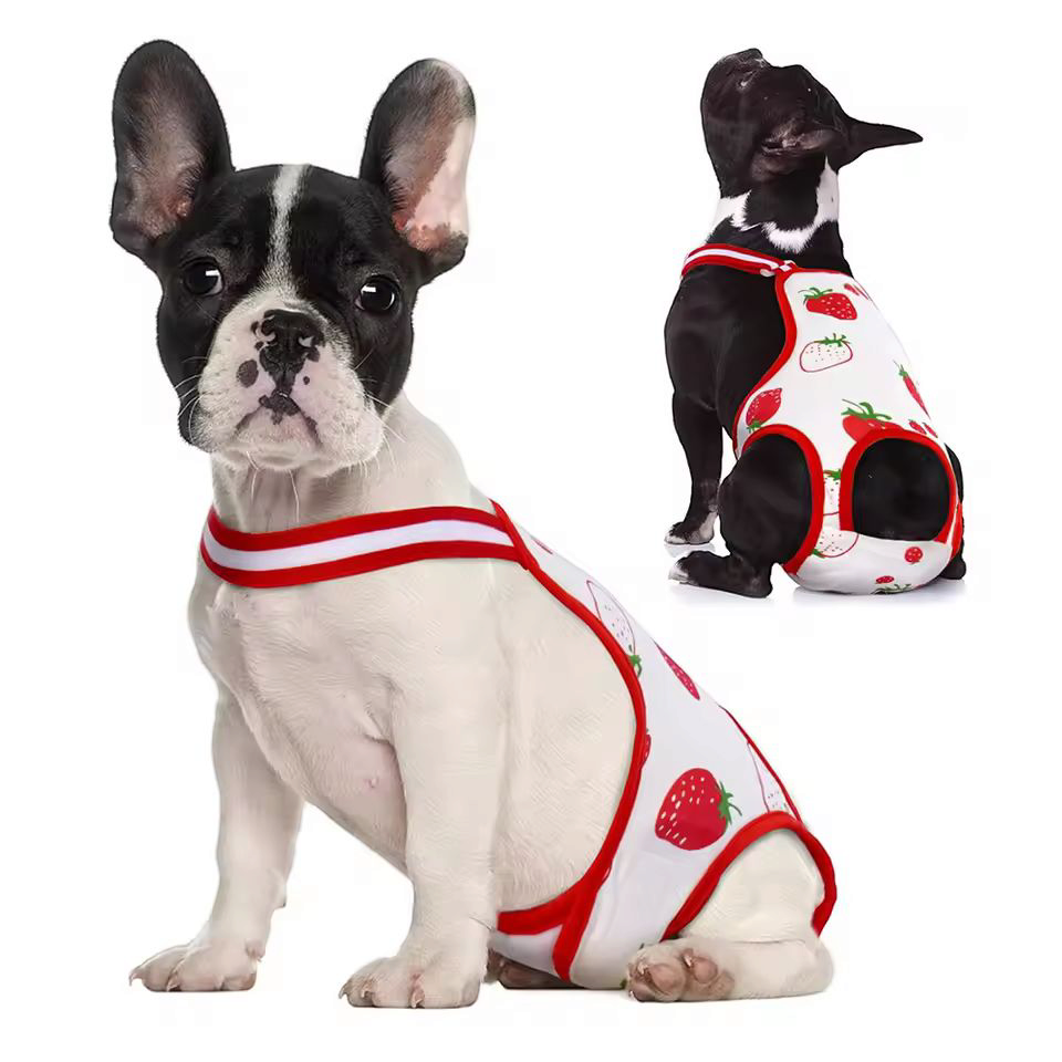 Female Dog physiological pants