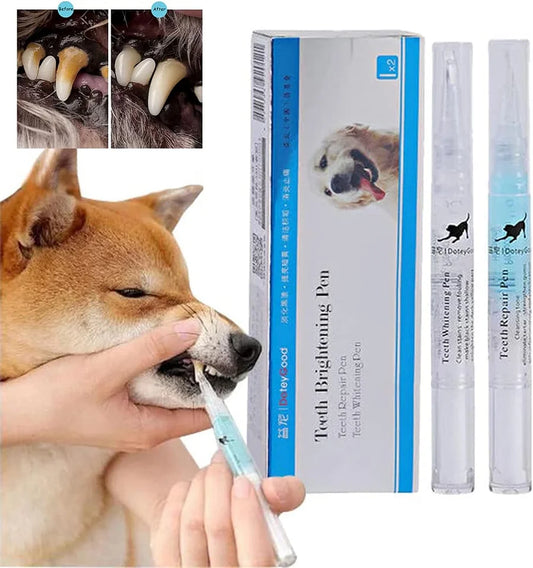Dog teeth repairing kit