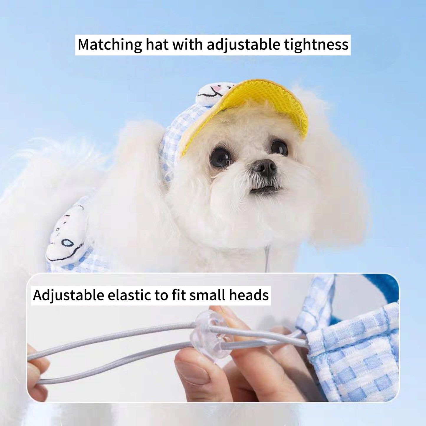 Cute pet harness with hat