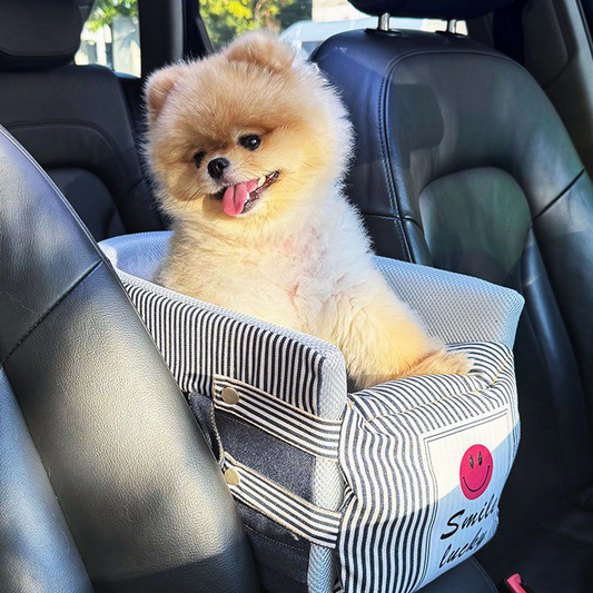 Dog car seat
