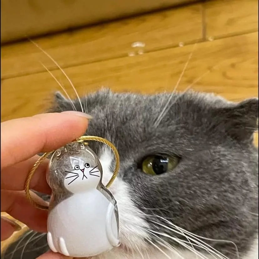 Custom cat hair key chain
