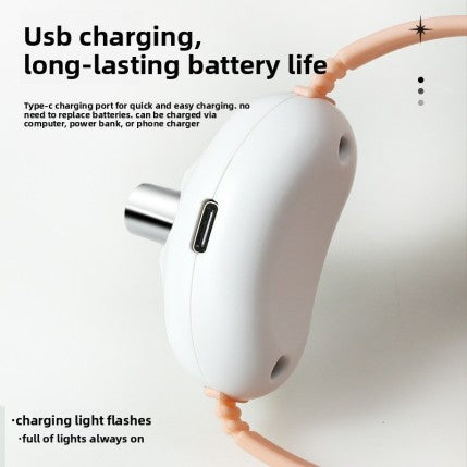 Cat Toy with LED light