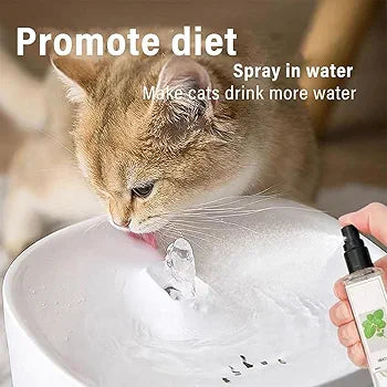 Catnip happy water