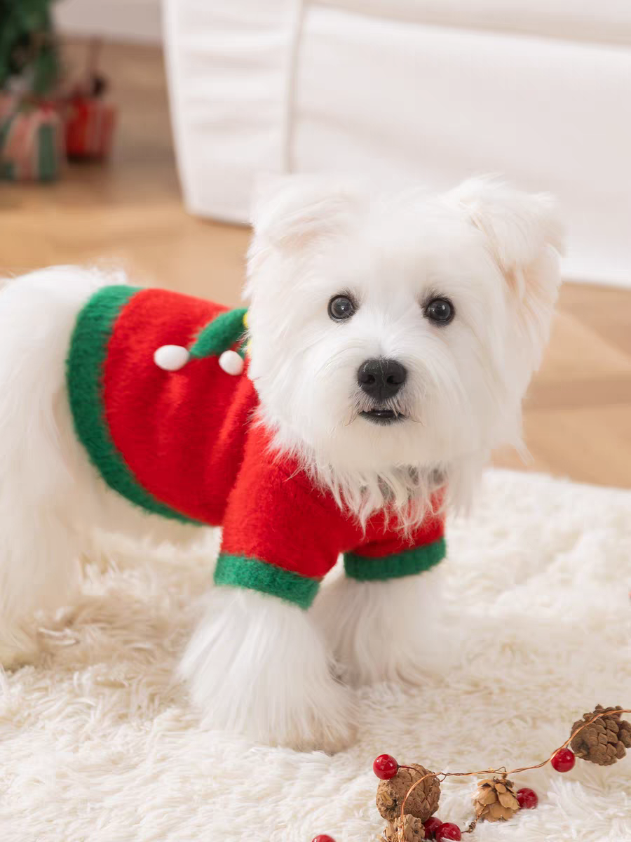 Christmas sweater for Pets
