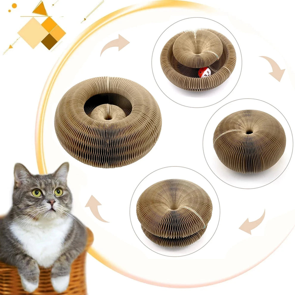 Magic Ball Toy