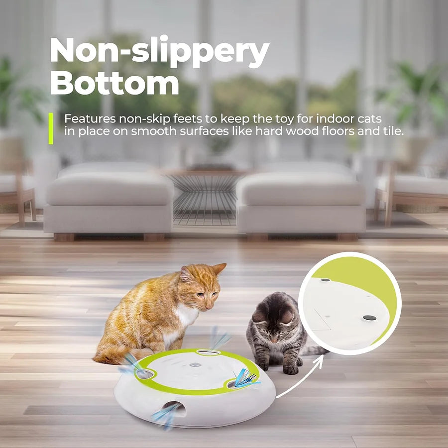 Interactive cat toy