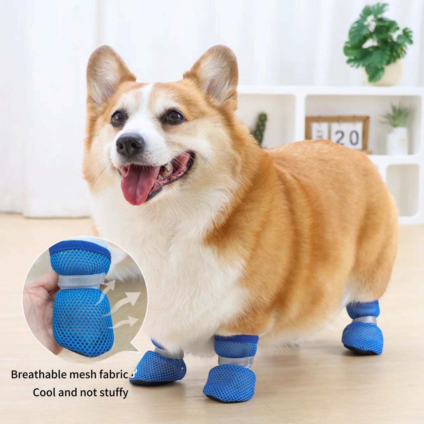 Dog mesh shoes