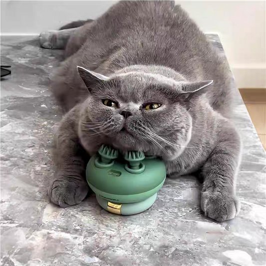 Cat Head and Neck Massager