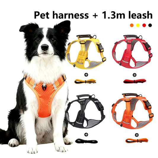 Pet Chest Harness