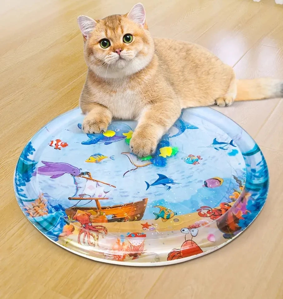 Cat dog water play mat