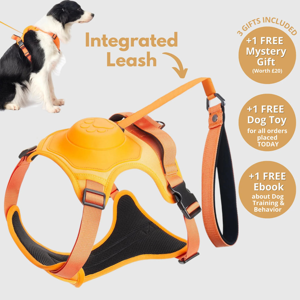 New dog harness