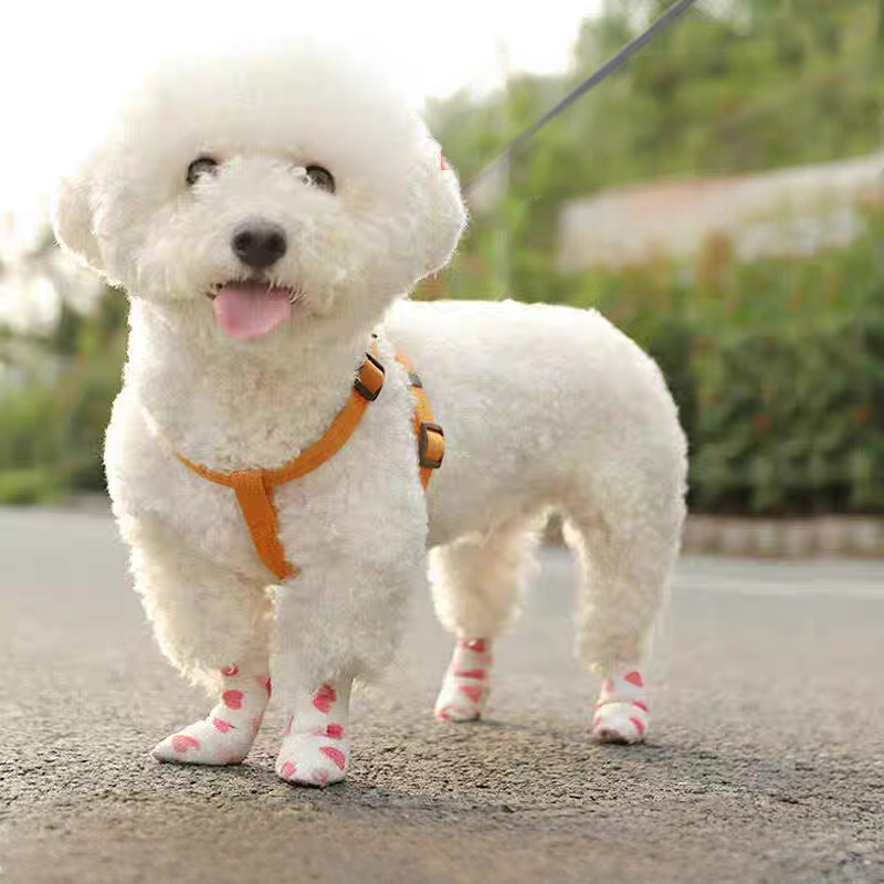 Pet paw cover and bandage wrap