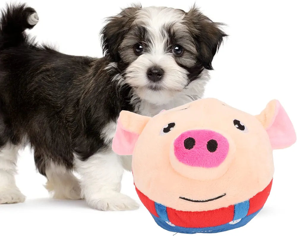 Interactive dog toy pig 🐷