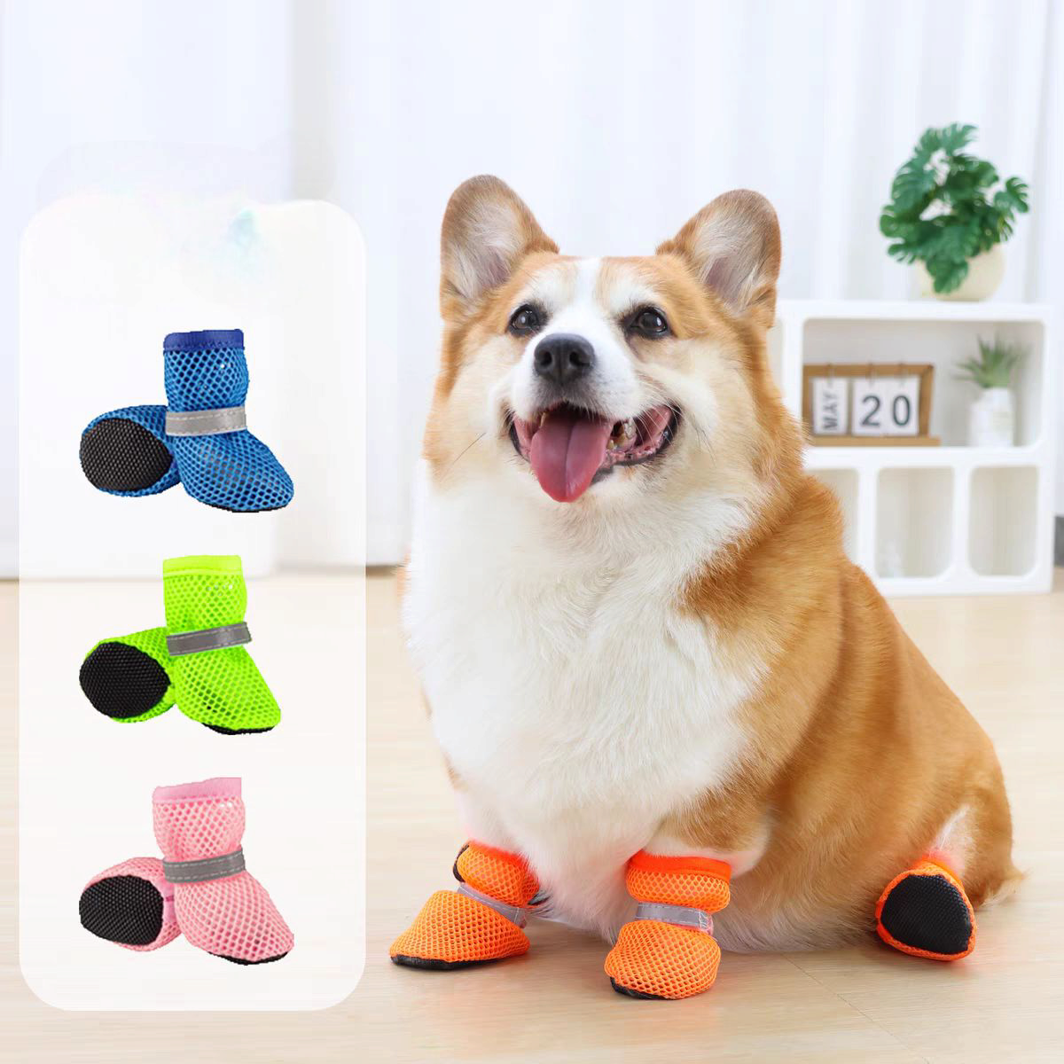 Dog mesh shoes
