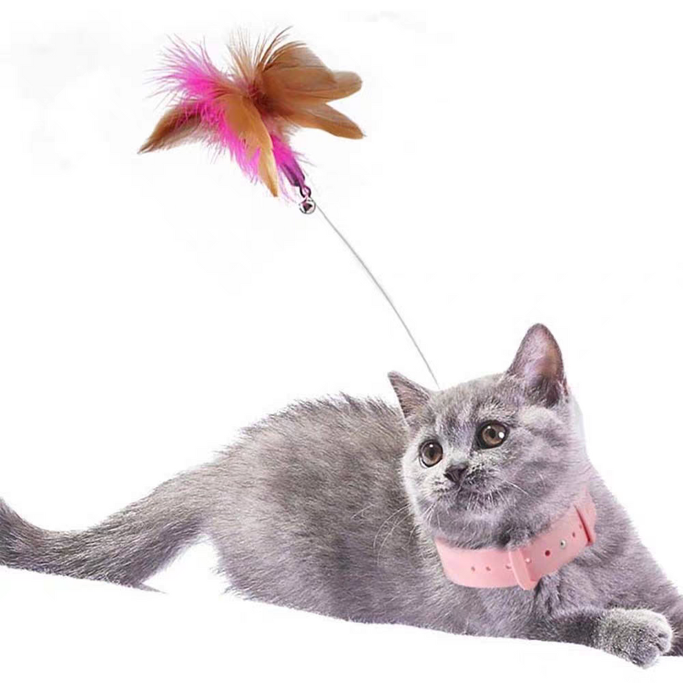 Cat toys feather collar self healing 🤯