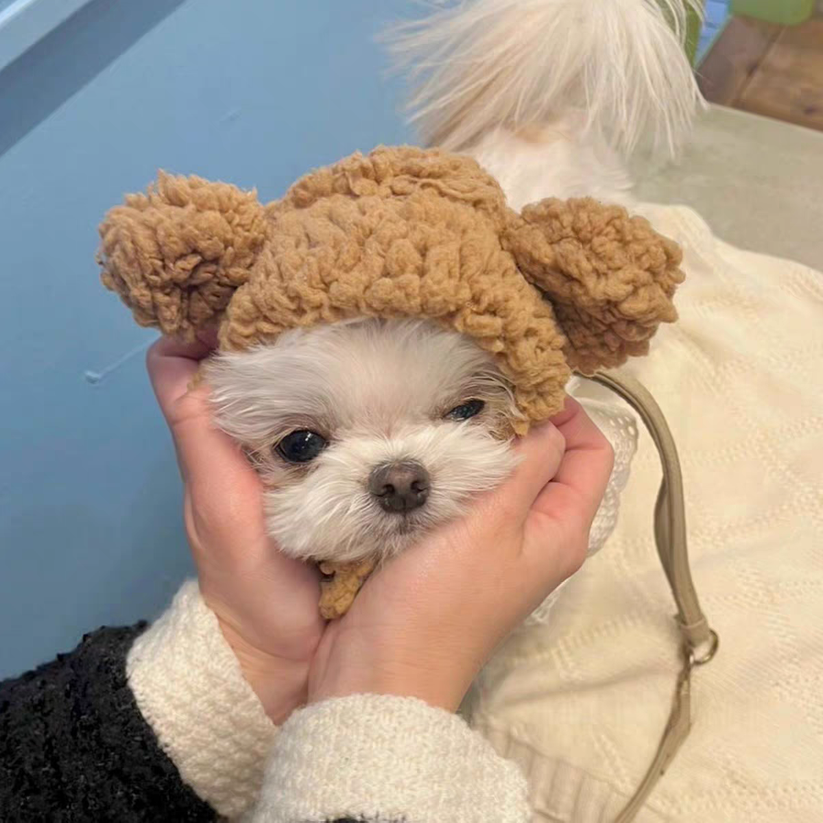 Warm Bear Headband