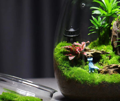 【Top-grade moss】New Style Desktop Moss Landscape