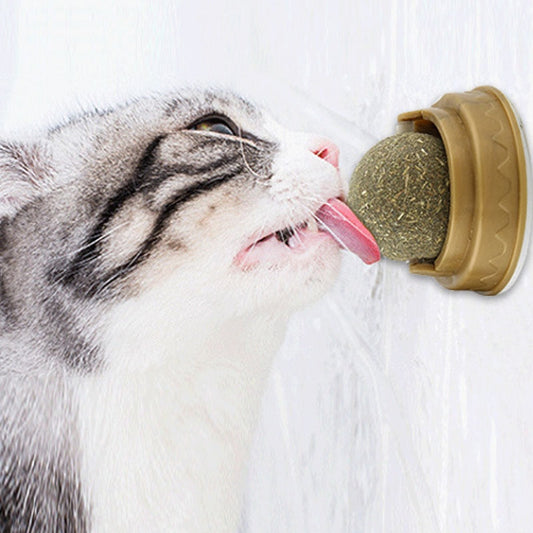 Catnip licking food