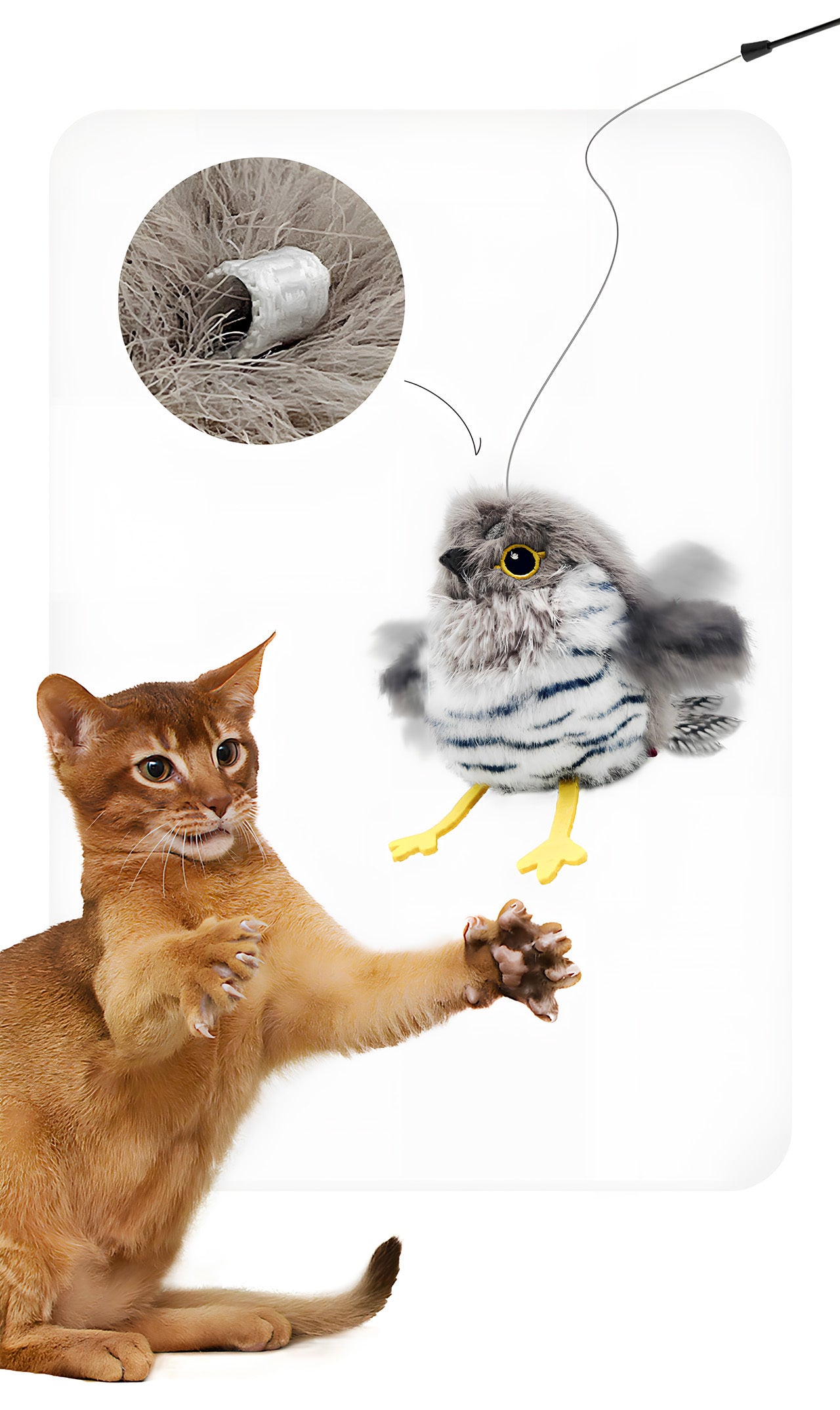 Bird Flapping cat toy