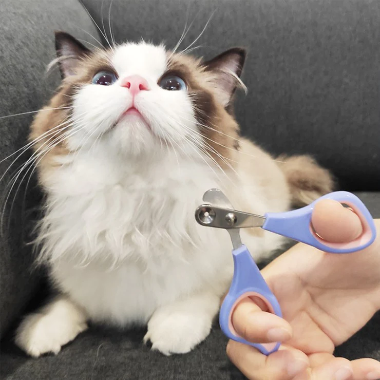 Easy nail clipper