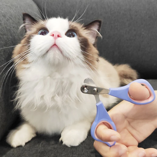 Easy nail clipper