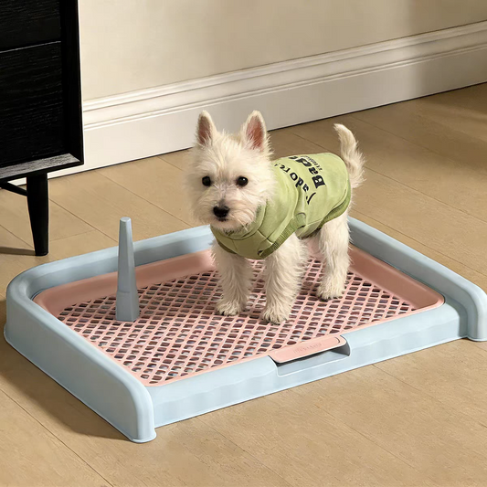 Small dog toilet, detachable with support pillar