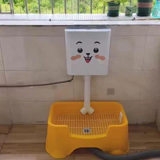 Pet toilet, automatic flushing toilet