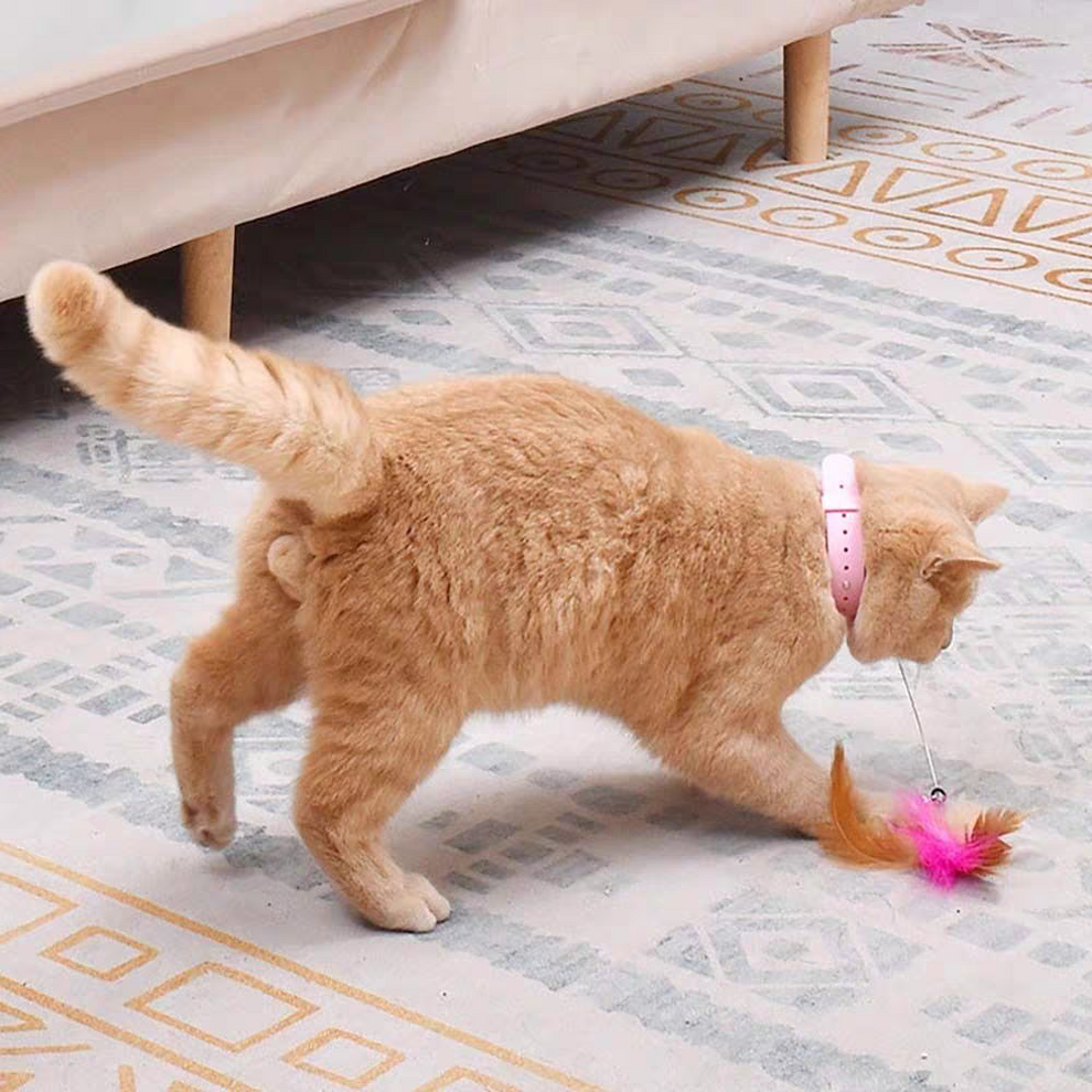 Cat toys feather collar self healing 🤯