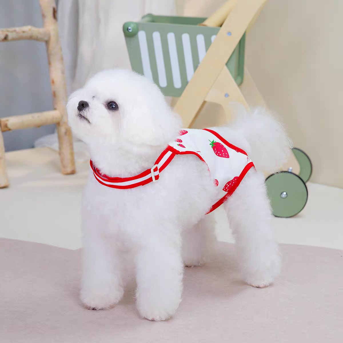 Female Dog physiological pants