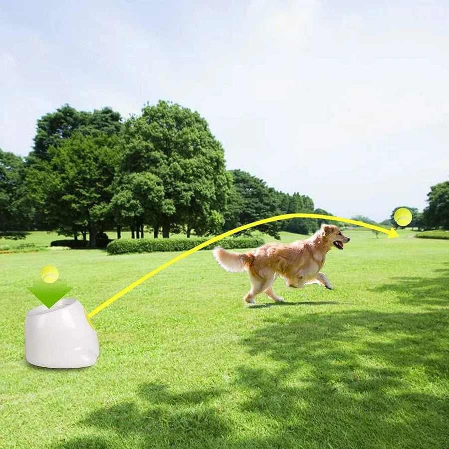 Automatic Ball Launcher Toy
