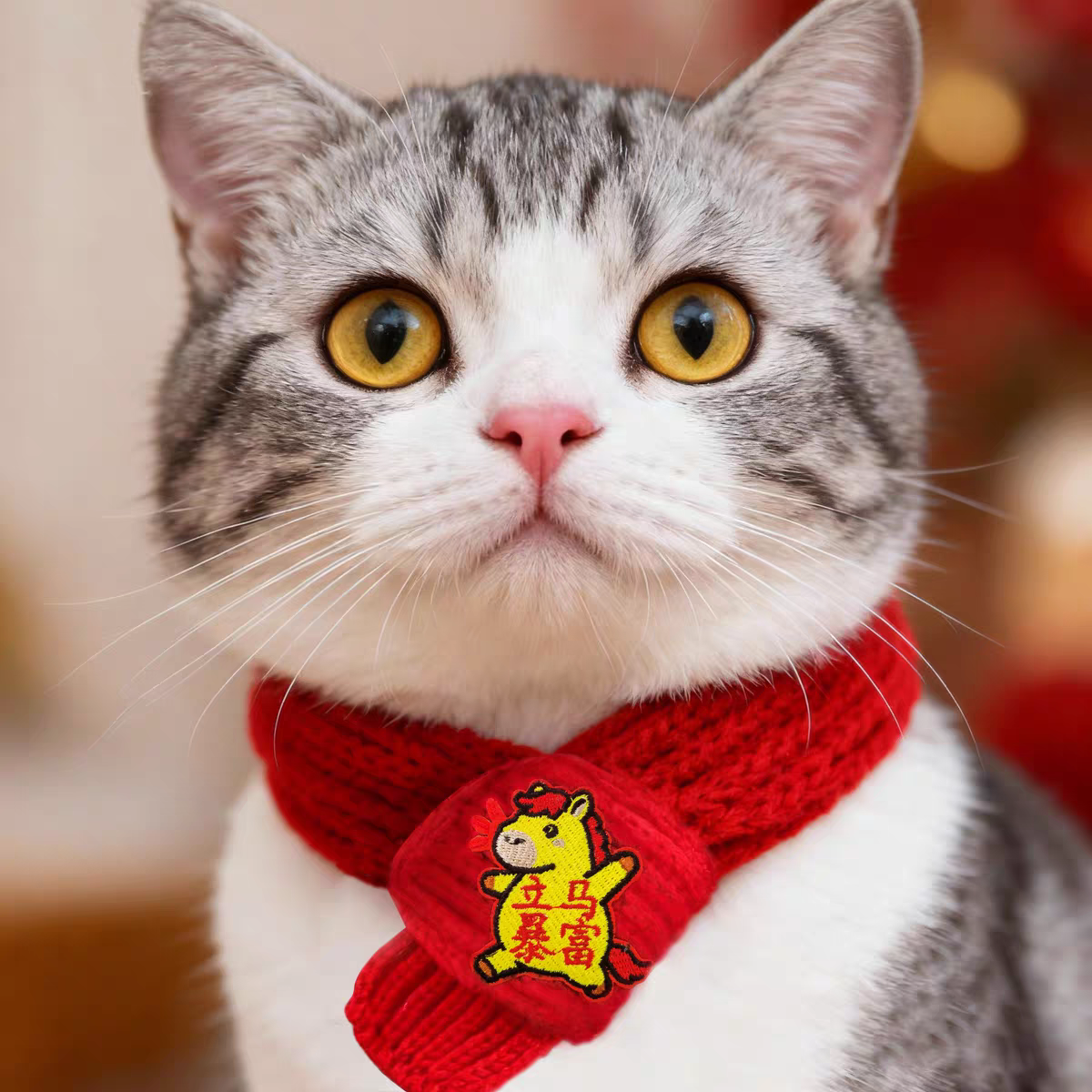 Small Pet scarf 🧣