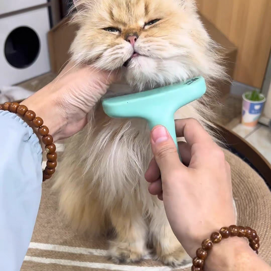 Pet hair comb