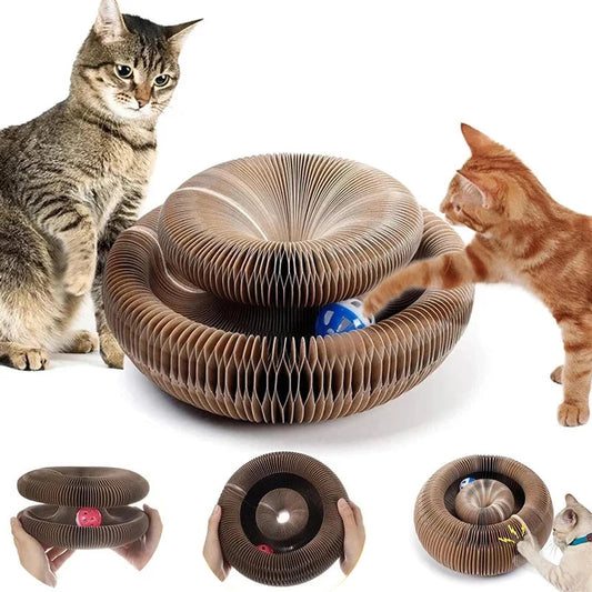 Magic Ball Toy