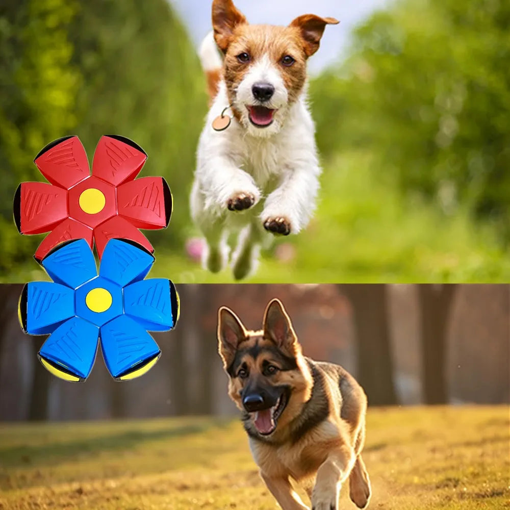 Flying Magic ball For dogs