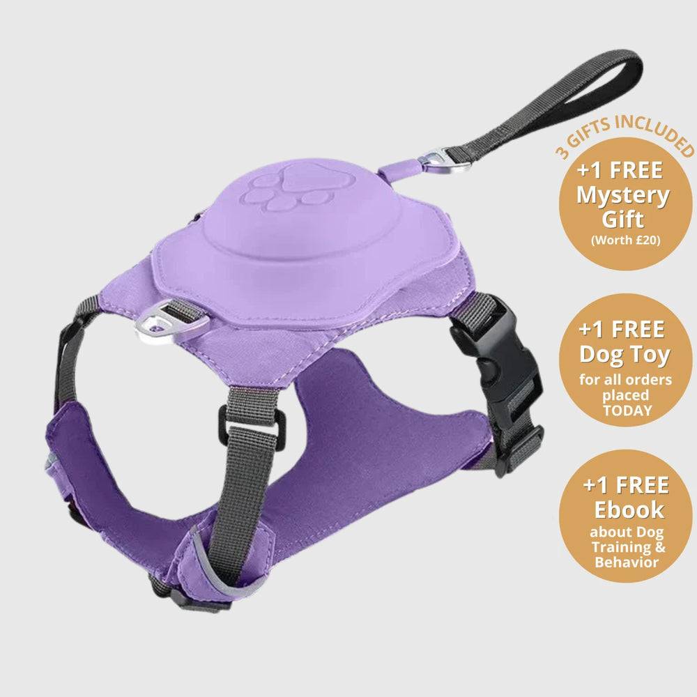 New dog harness